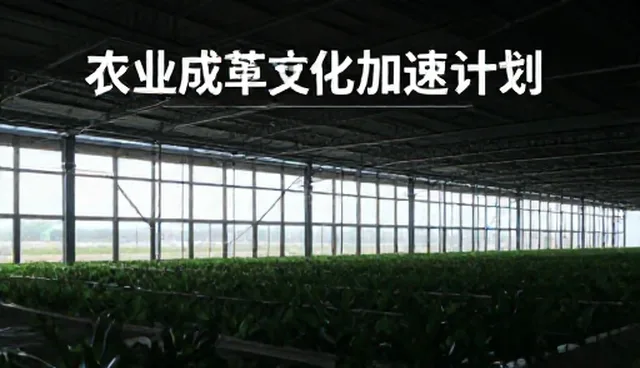 成果转化支持如何影响财税咨询效果