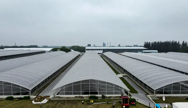 技术转让选型关注点及交付质量把控